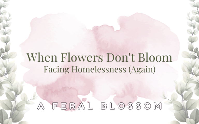 When Flowers Don’t Bloom: Facing Homelessness (Again)
